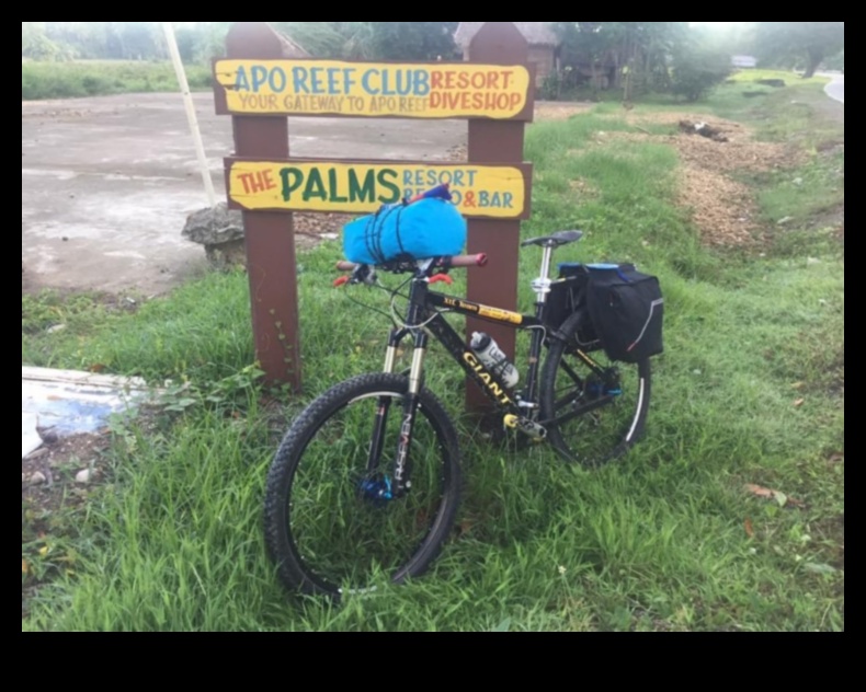 City Cycling Chronicles: Narratives from Commuting Cyclists