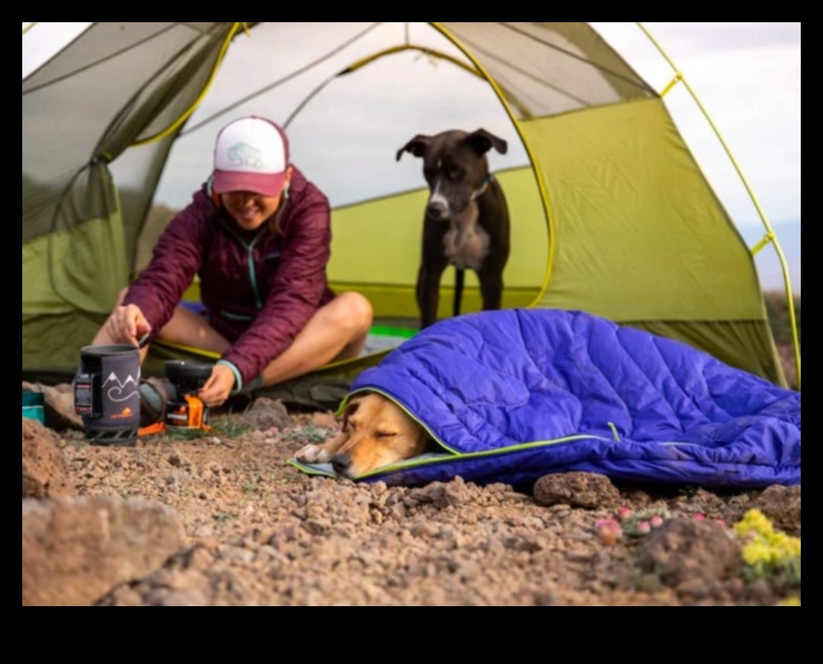 Το Canine Camping Συνέχεια: Κατασκευή Σκηνής Φιλικής προς τους Σκύλους