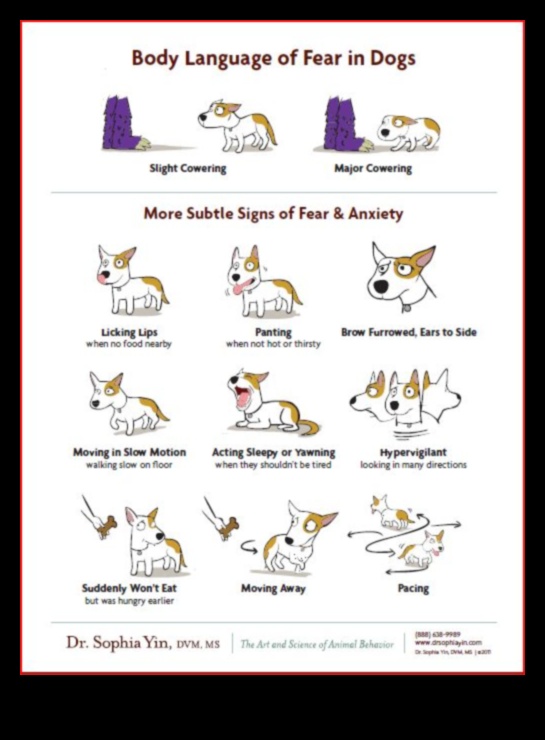 Συζητήσεις με σκύλους που αποκωδικοποιούν τη γλώσσα της επικοινωνίας του σκύλου 4 Συζητήσεις με σκύλους: Αποκωδικοποίηση της γλώσσας της επικοινωνίας του σκύλου