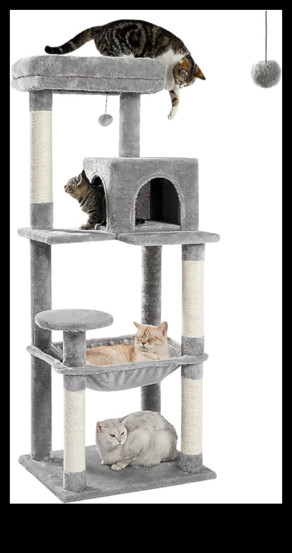 Cat Condos Συνεχιζόμενες Ανυψωμένες Κατασκευές για Κατακόρυφη Εξερεύνηση 2 Cat Condos Continued: Ανυψωμένες δομές για κάθετη εξερεύνηση