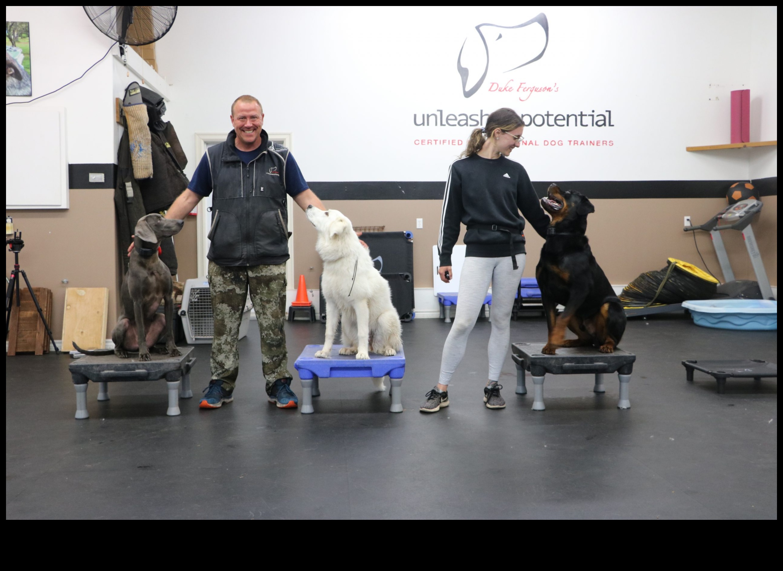 Καριέρες σκύλων που απελευθερώνουν τις δυνατότητες των σκύλων εργασίας 3 Καριέρες σκύλων: Απελευθερώνοντας το δυναμικό των σκύλων εργασίας