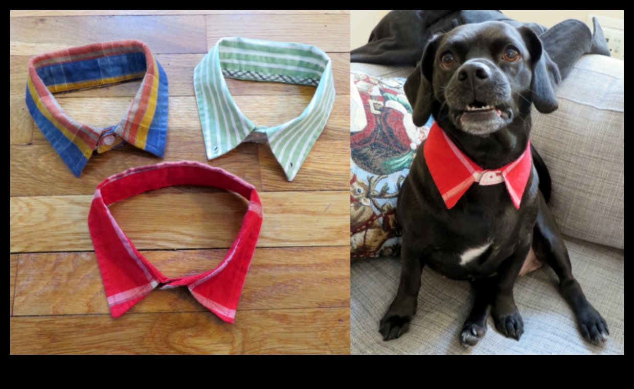 Dapper Doggies: Ρούχα και αξεσουάρ για κατοικίδια DIY
