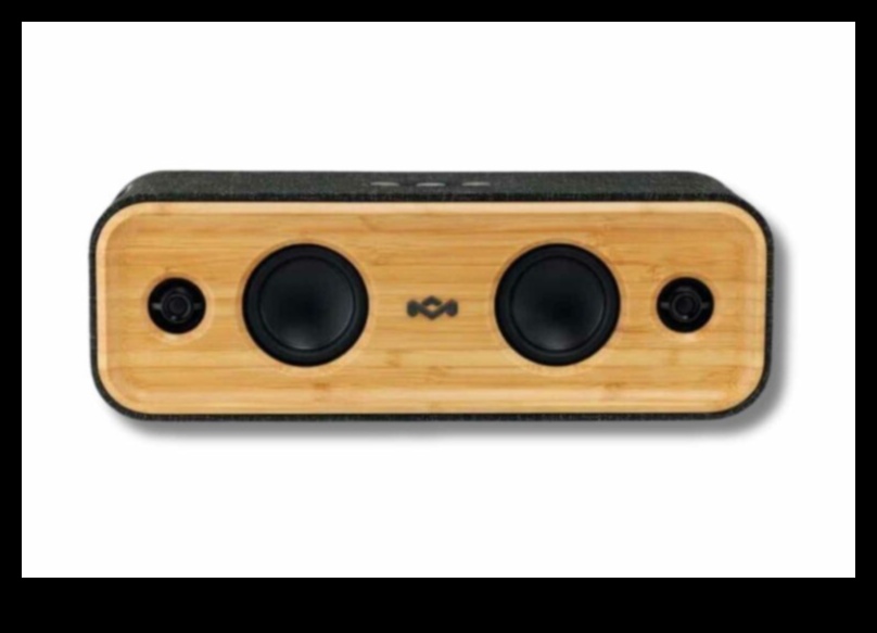 Earthy Echoes Eco-Friendly Audio Electronics for Sustainable Listening 3 Earthy Echoes: Eco-Friendly Audio Electronics for Sustainable Listening