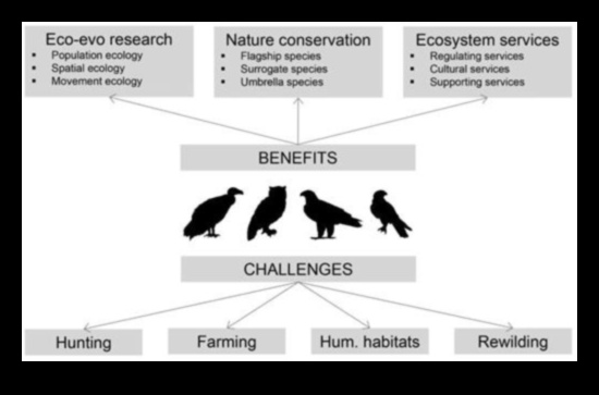 Διερεύνηση του ρόλου των πτηνών στη διατήρηση και την αειφορία του περιβάλλοντος 5 Διερεύνηση του ρόλου των πτηνών στη διατήρηση και την αειφορία του περιβάλλοντος