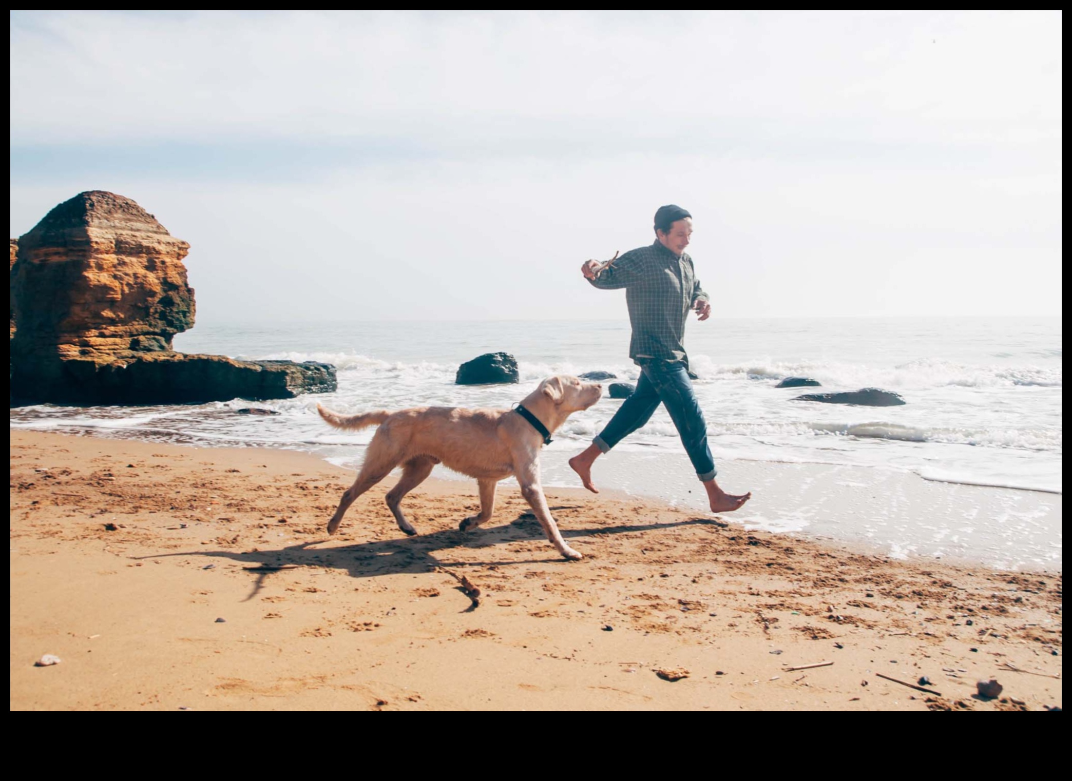 Doggy Destinations: Σχεδιάζοντας την τέλεια απόδραση φιλική προς τα κατοικίδια