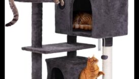 Cat Condos Continued: Ανυψωμένες δομές για κάθετη εξερεύνηση