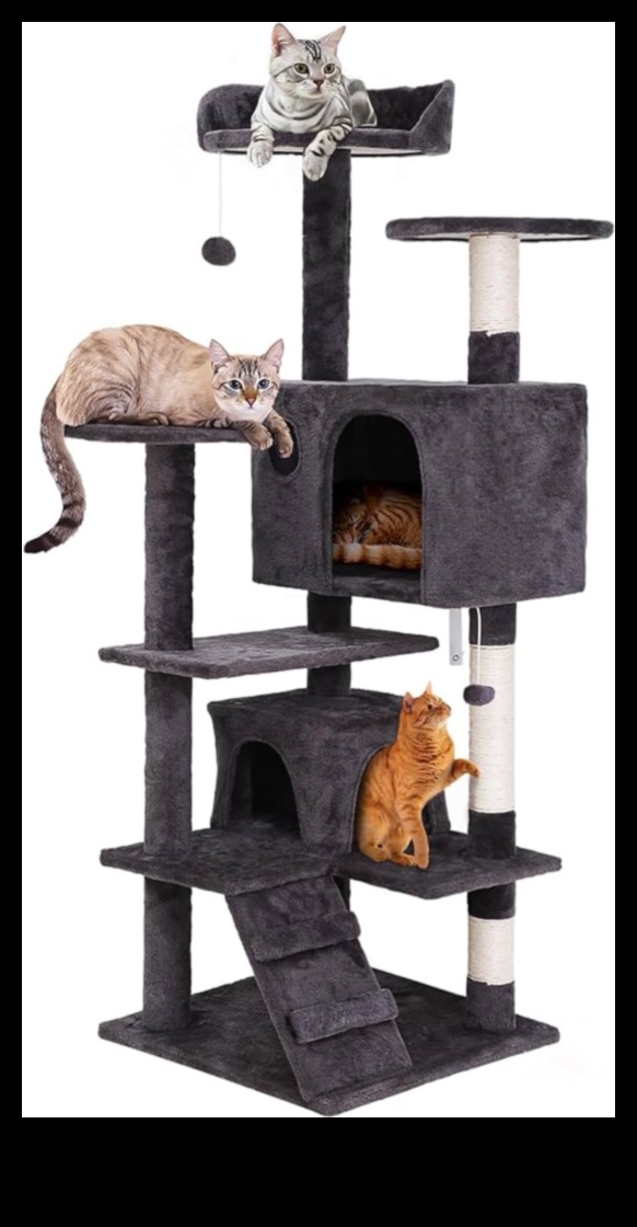 Cat Condos Συνεχιζόμενες Ανυψωμένες Κατασκευές για Κατακόρυφη Εξερεύνηση 1 Cat Condos Continued: Ανυψωμένες δομές για κάθετη εξερεύνηση