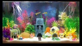 Fish Tank Artistry Συνεχιζόμενα δημιουργικά προβλήματα για με άλλο τρόπο γεύση ενυδρείου 1 Fish Tank Artistry Συνέχεια: Δημιουργικά θέματα για διαφορετικά στυλ ενυδρείου