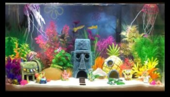 Fish Tank Artistry Συνέχεια: Δημιουργικά θέματα για διαφορετικά στυλ ενυδρείου