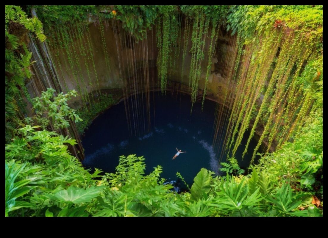 Pocket Paradise: Η όαση των κοντινών τοπικών αξιοθέατων