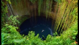 Pocket Paradise: Η όαση των κοντινών τοπικών αξιοθέατων