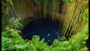 Pocket Paradise: Η όαση των κοντινών τοπικών αξιοθέατων