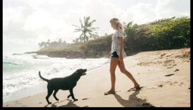 Τοποθεσίες Doggy που σχεδιάζουν την εντελώς απόδραση φιλική σε αντίθεση με τα κατοικίδια 2 Doggy Destinations: Σχεδιάζοντας την τέλεια απόδραση φιλική προς τα κατοικίδια