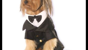 Dapper Doggies: Ρούχα και αξεσουάρ για κατοικίδια DIY