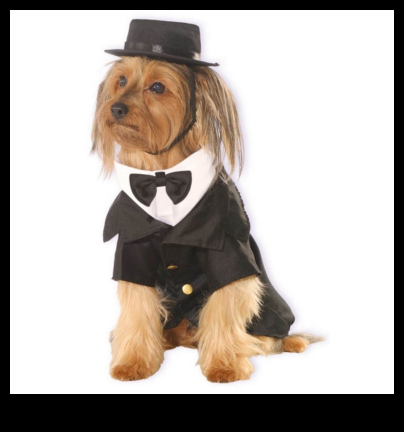 Dapper Doggies: Ρούχα και αξεσουάρ για κατοικίδια DIY