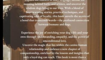 Συζητήσεις με σκύλους: Αποκωδικοποίηση της γλώσσας της επικοινωνίας του σκύλου