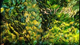 Designing for Green Impact: Τέχνη που αφήνει μια διαρκή βιώσιμη εντύπωση