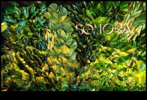 Designing for Green Impact: Τέχνη που αφήνει μια διαρκή βιώσιμη εντύπωση